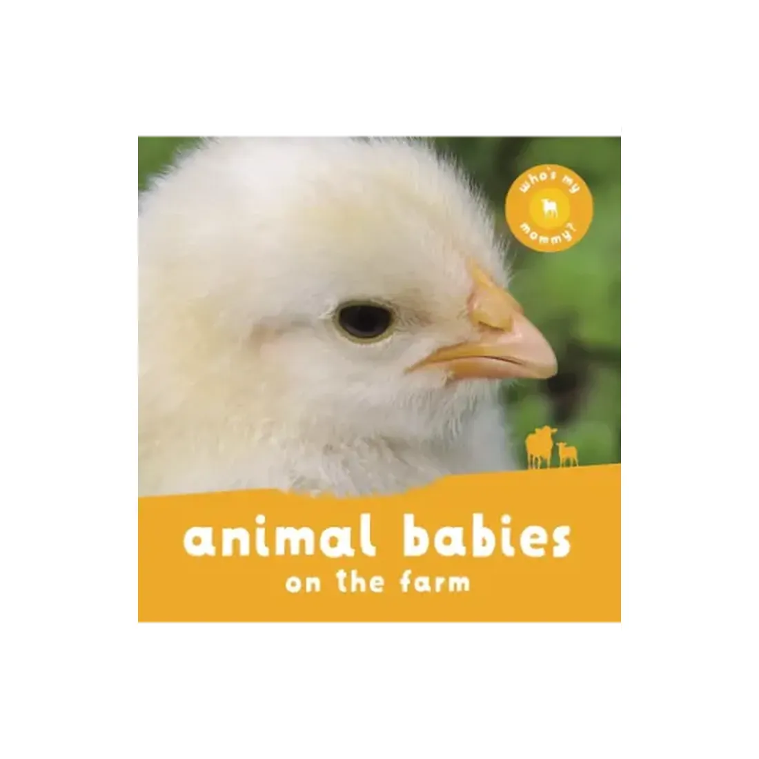 Animal Babies On the Farm