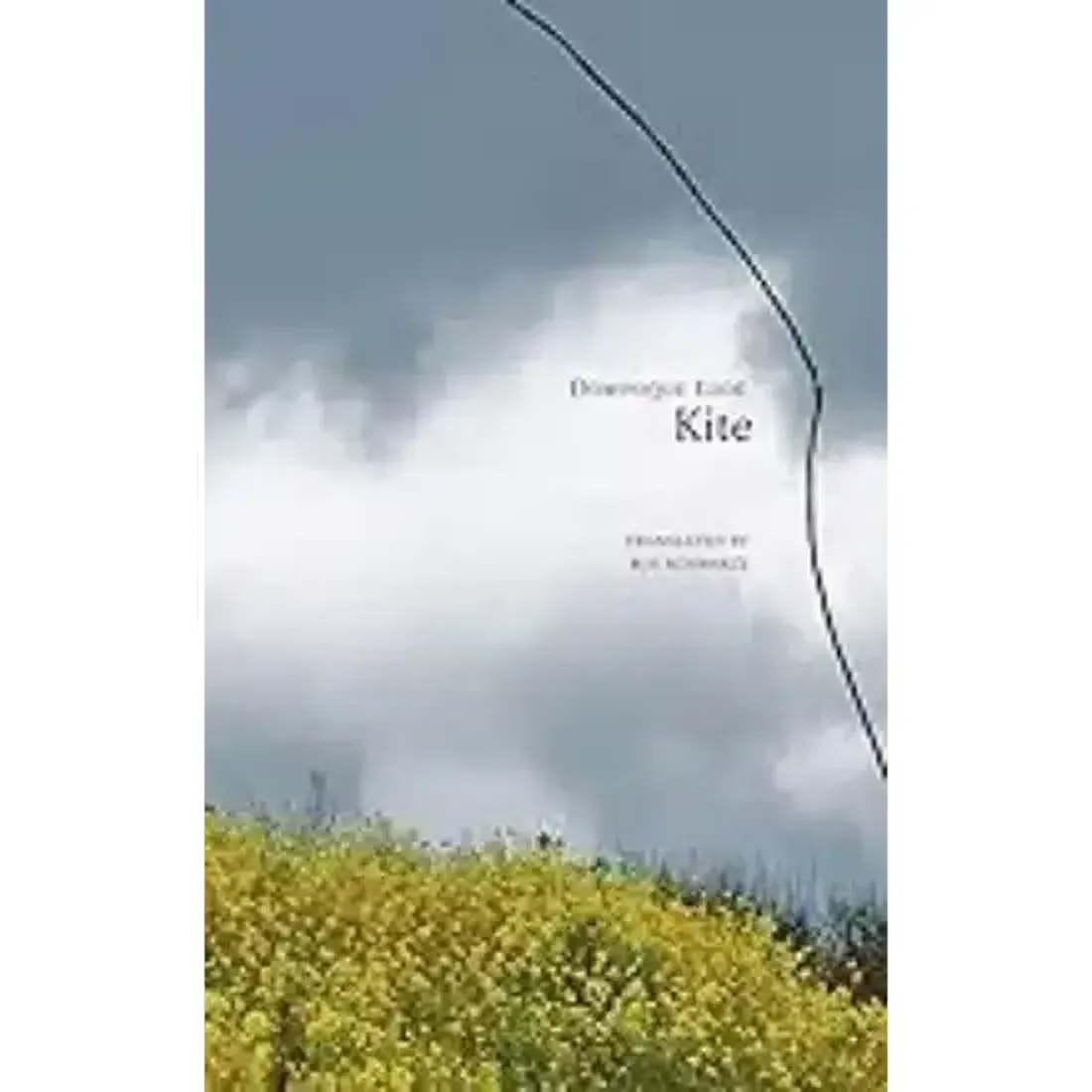 Kite