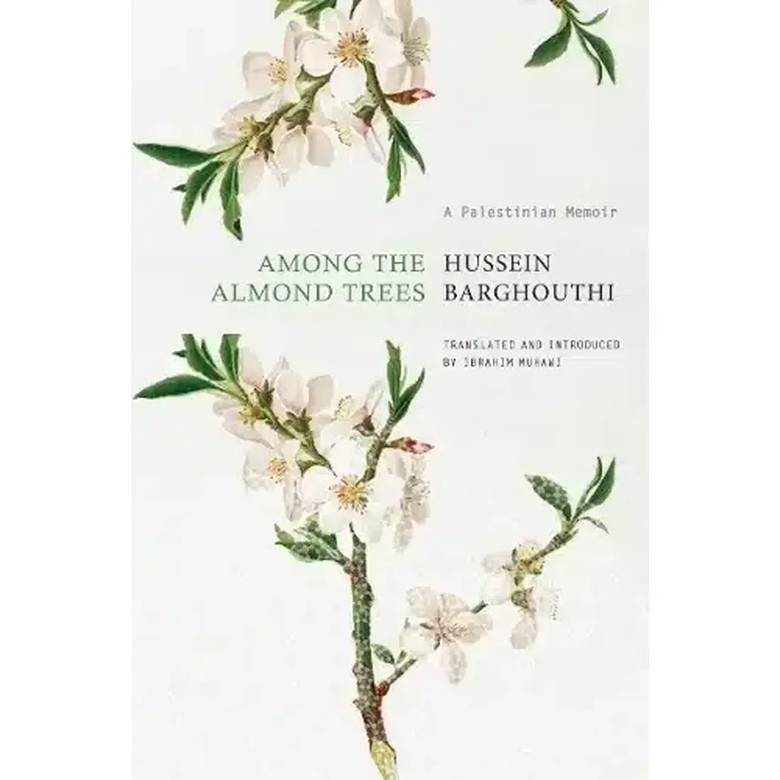 Among the Almond Trees: -