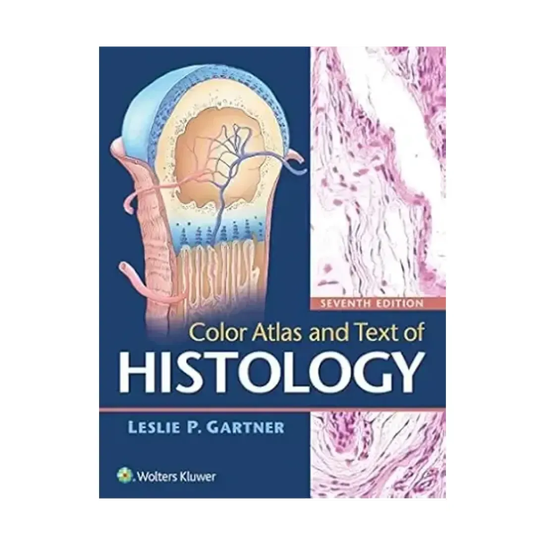 Color Atlas and Text of Histology