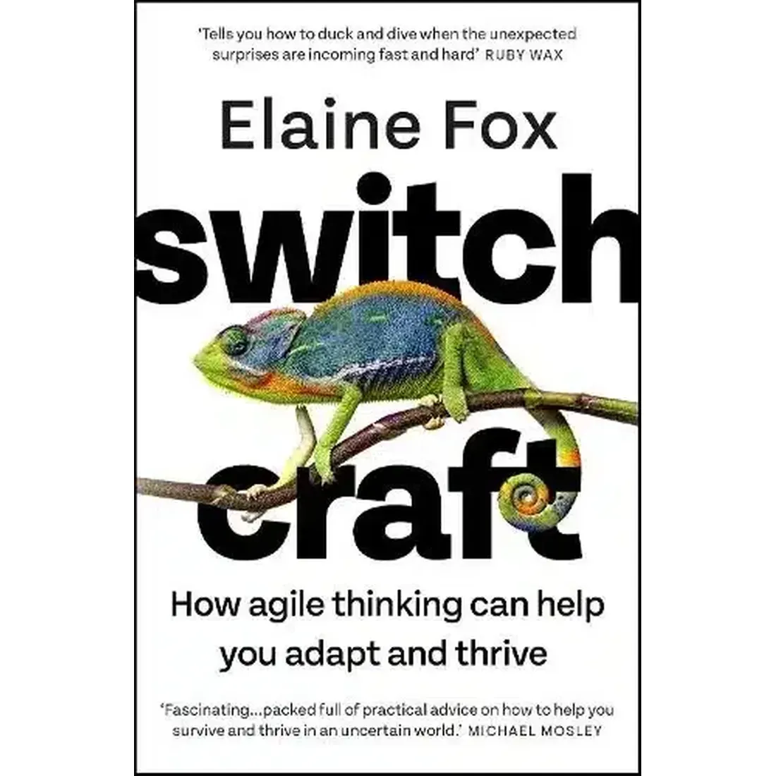 Switchcraft: Harnessing the Power of Mental Agility to Transform
 Your Life