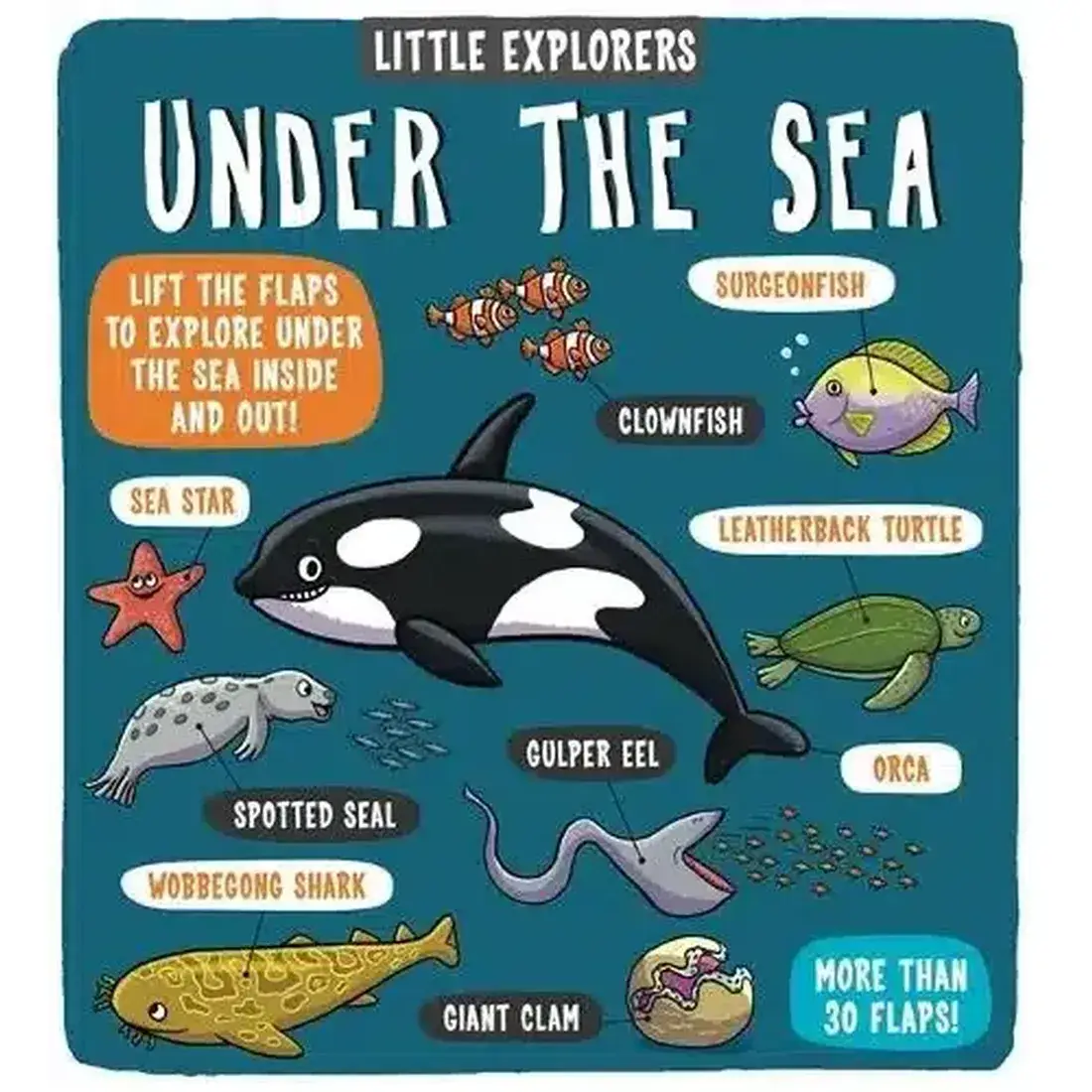 LITTLE EXPLORERS: UNDER THE SEA