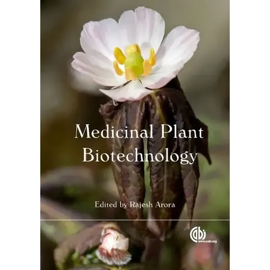 MEDICINAL PLANT BIOTECHNOLOGY