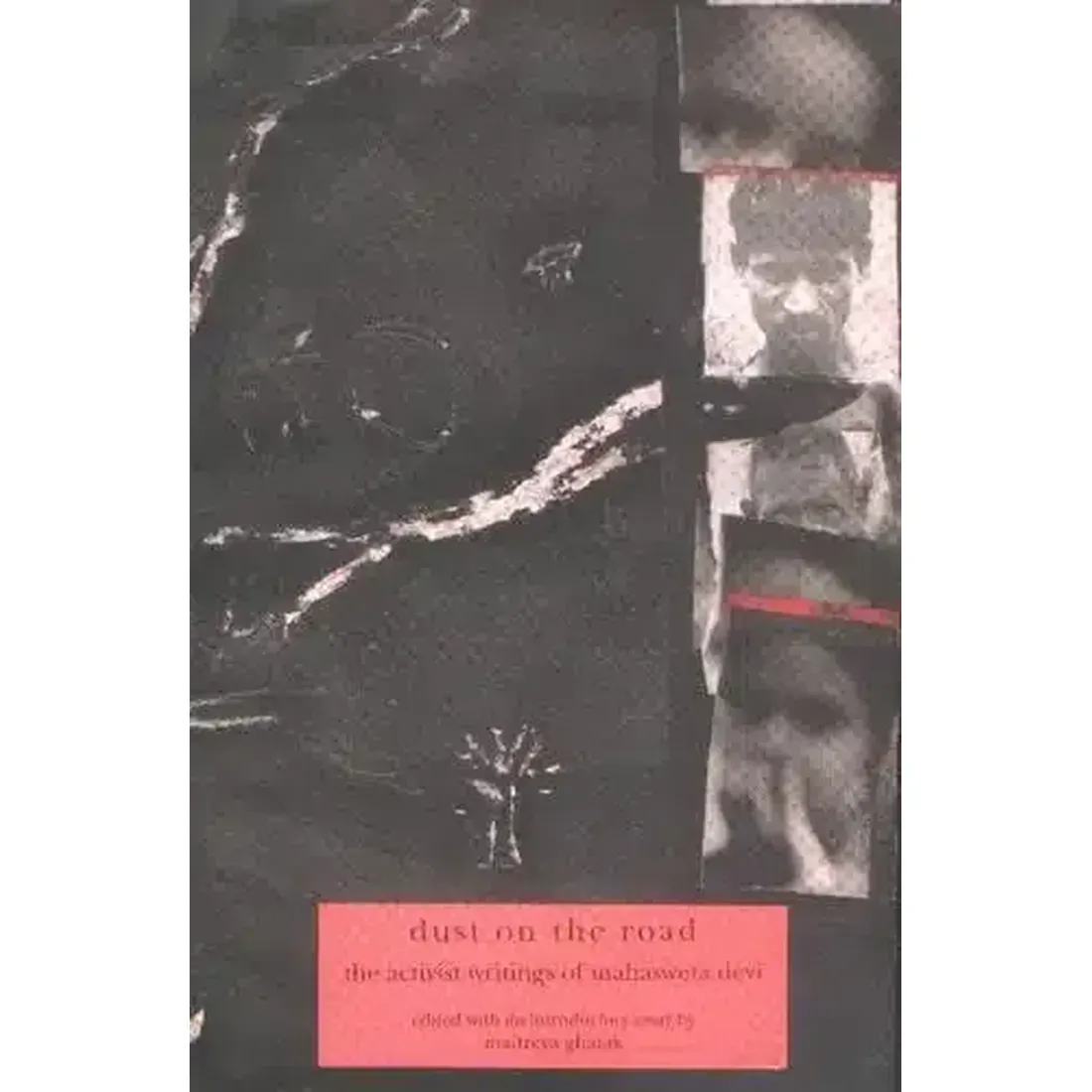 Dust On The Road: The Activist Writings of Mahasweta Devi