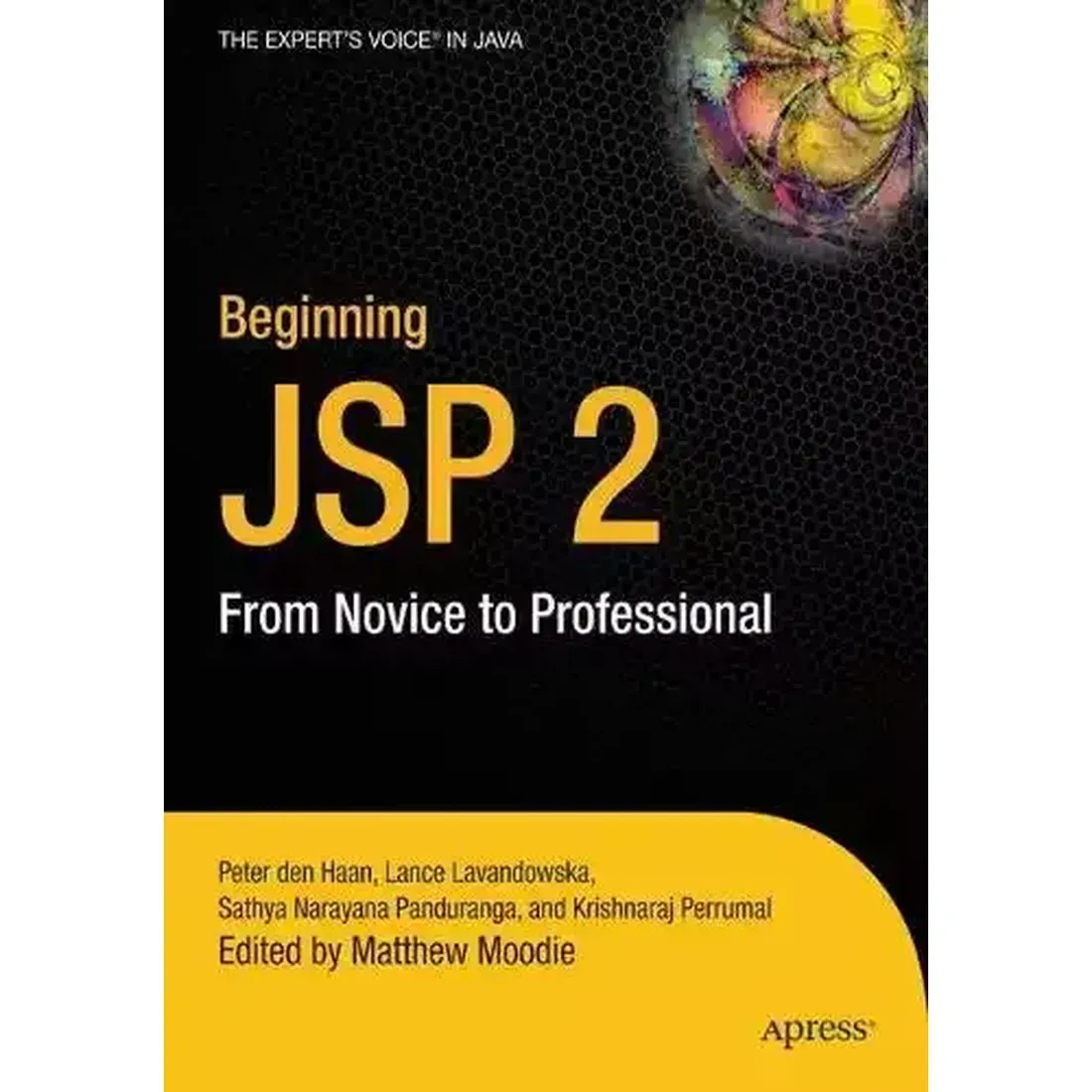 BEGINNING JSP 2