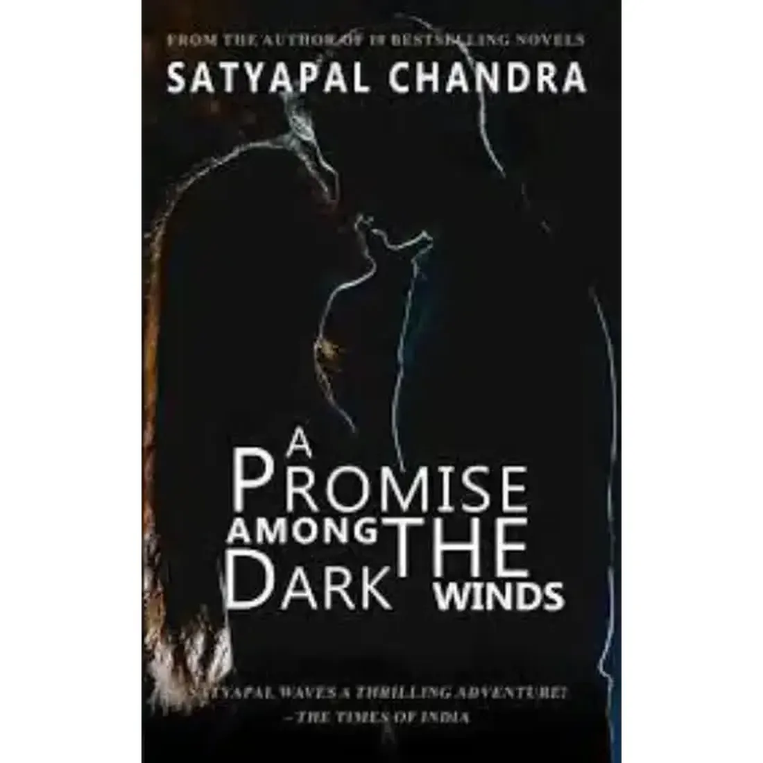 A Promise Among The Dark Winds