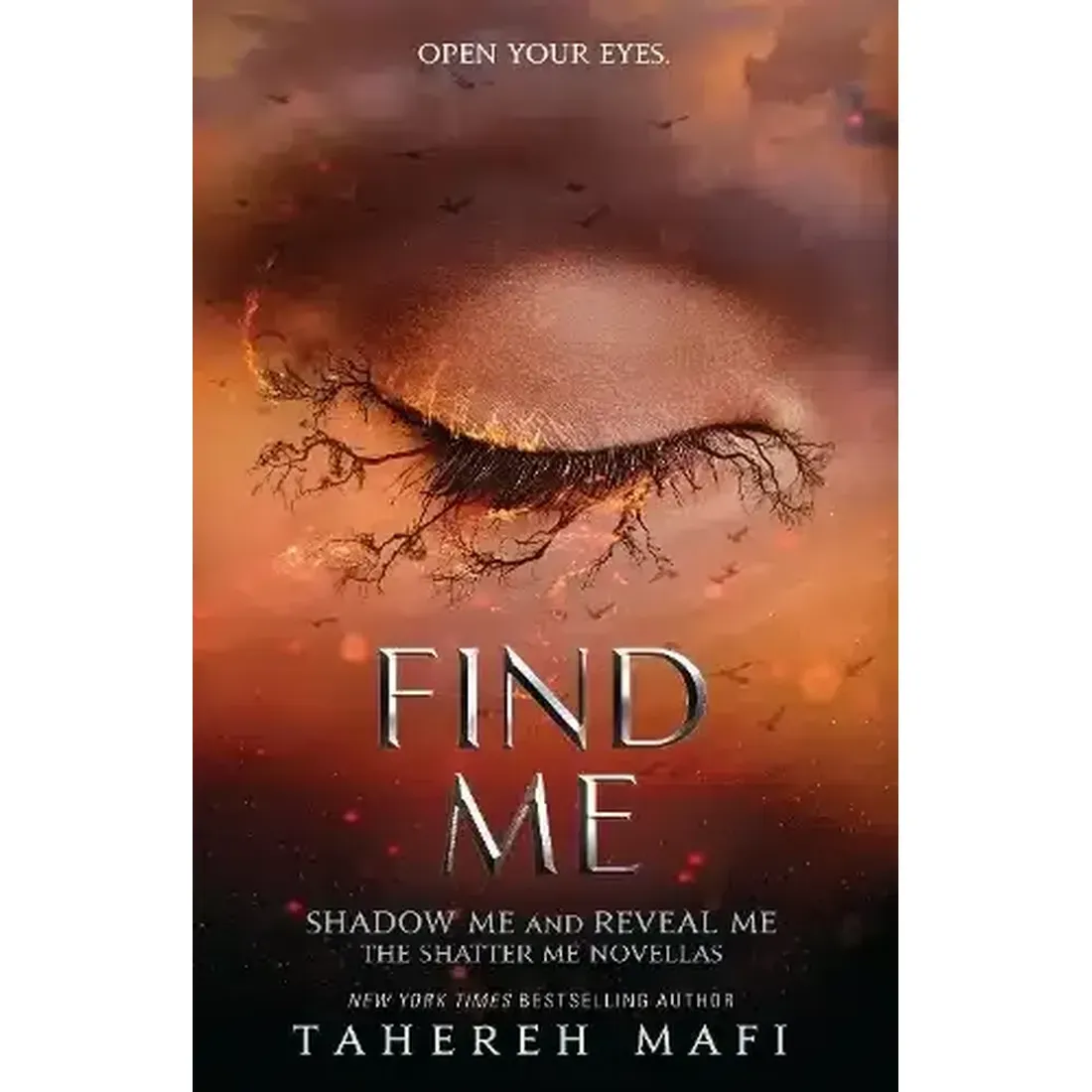 Find Me (Shatter Me)