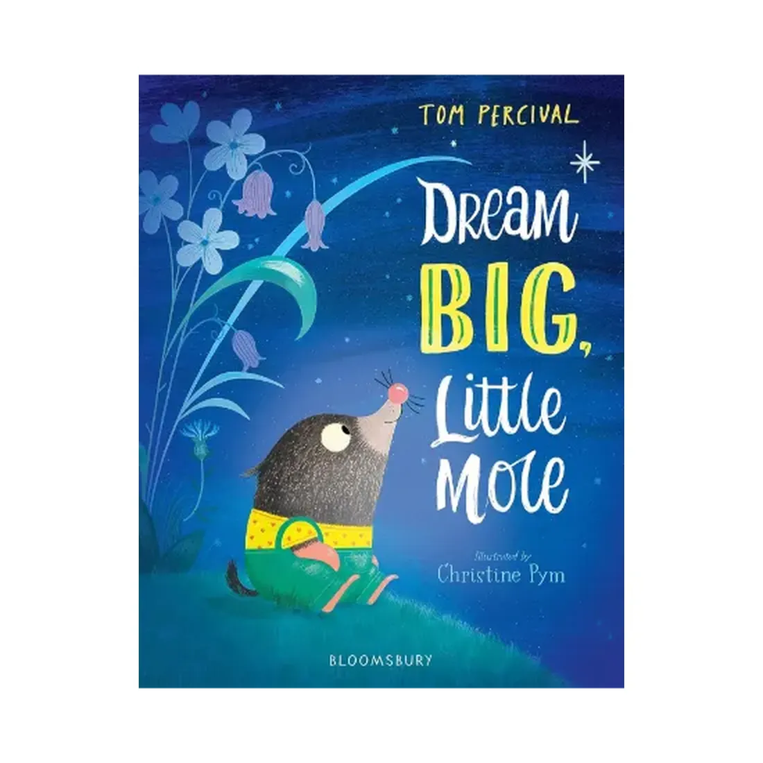 Dream Big, Little Mole