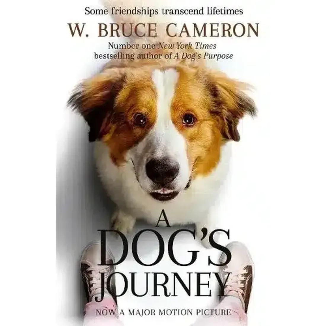 A Dogs Journey